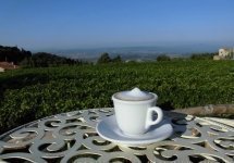 Castel Brunello, Tuscany_026