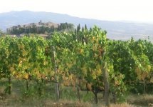 Castel Brunello - aut01